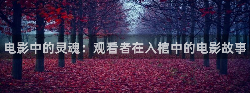 久久视频九九视频