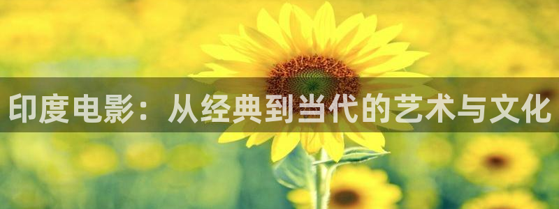 精品视频久久久久
