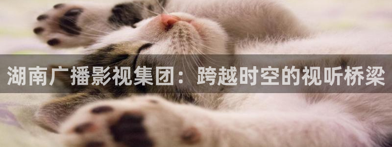 国产精品久久久久久亚洲影视