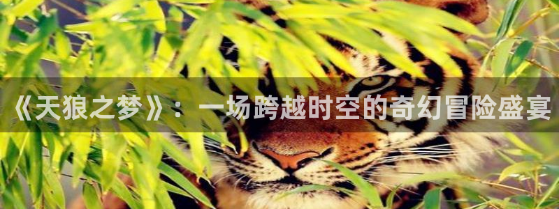 久久视频亚洲视频