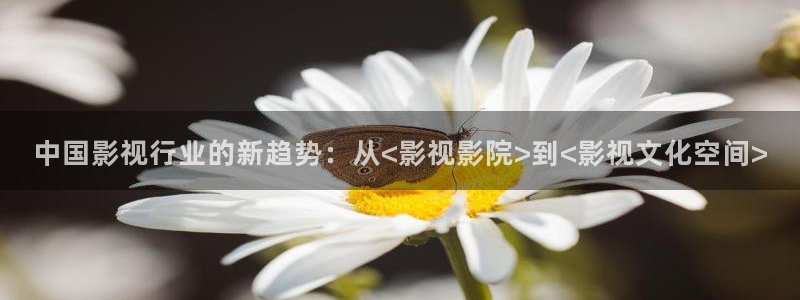 国产精品久久久久电影