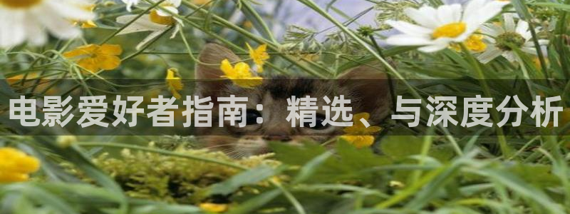 精品大片久久久久久