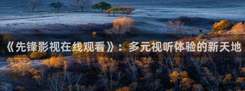 久久视频123