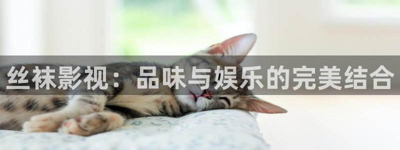 久久久久视频在线免费观看