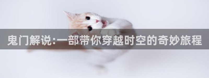 91人妻精品久久久久久久久电影