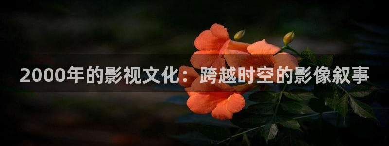 久久久久久色视频