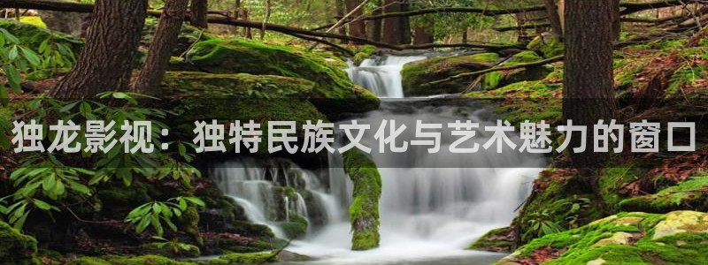 久久久亚洲午夜电影