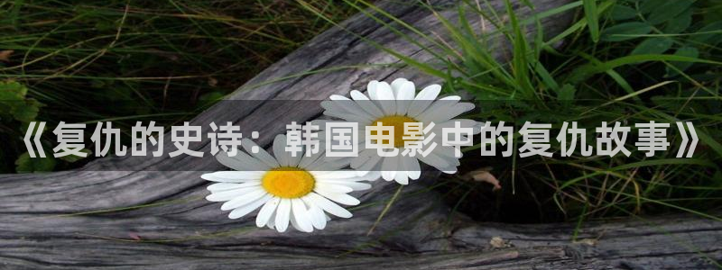午夜影院9久久久