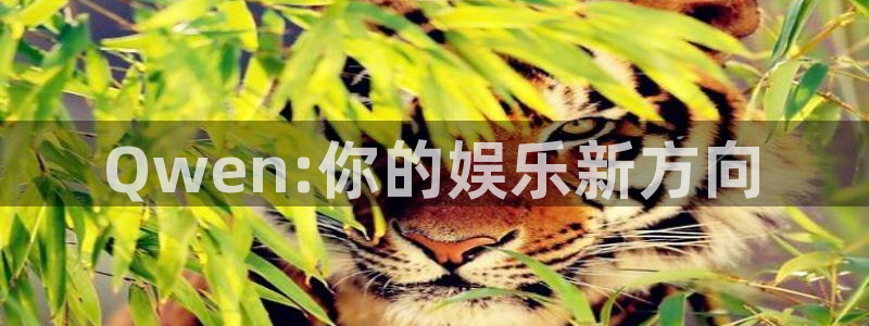 久久久久久久午夜电影：Qwen:你的娱乐新方向
