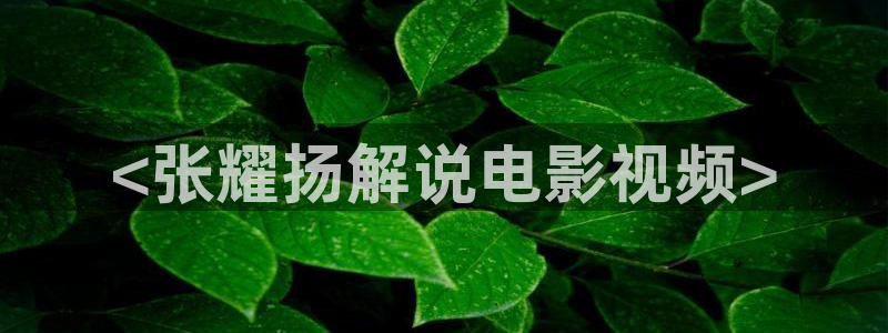 精品三级久久久久久久电影：<张耀扬解说电影视频>