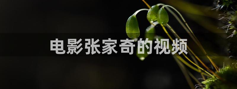 久久久久久色视频：电影张家奇的视频