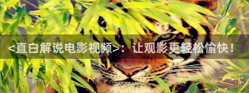 久久久久久国内精品电影网：<直白解说电影视频>：让观影更轻松愉快！