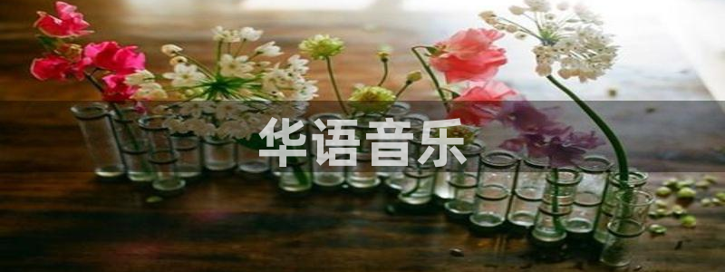 午夜精品久久久久久毛片777：华语音乐