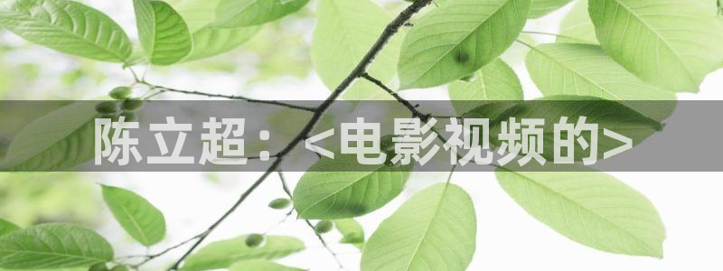 国内精品久久久影院：陈立超：<电影视频的>