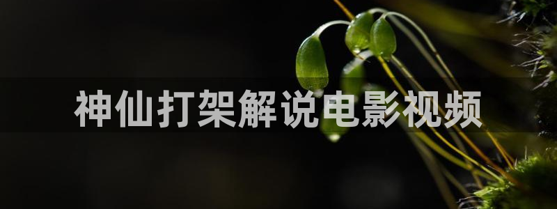 久久视频在线观看免费视频：神仙打架解说电影视频