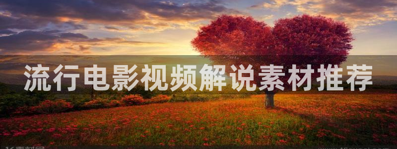 久久久久海量视频：流行电影视频解说素材推荐