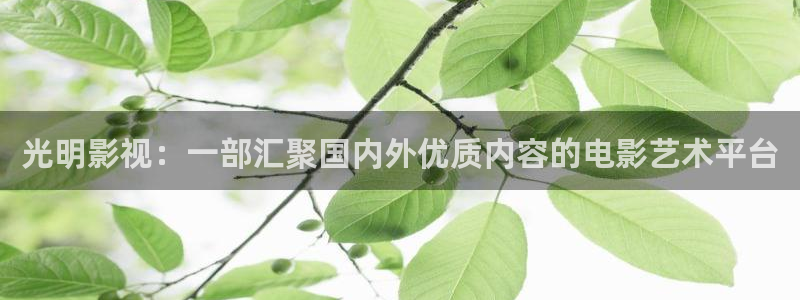久久视频久久：光明影视：一部汇聚国内外优质内容的电影艺术平台