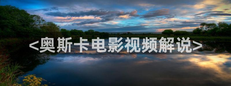 国产艳遇久久久久久久精品电影：<奥斯卡电影视频解说>