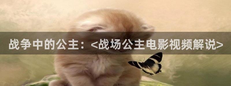 视频久久久久久久：战争中的公主：<战场公主电影视频解说>