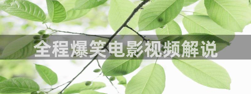 欧美久久久影院：全程爆笑电影视频解说