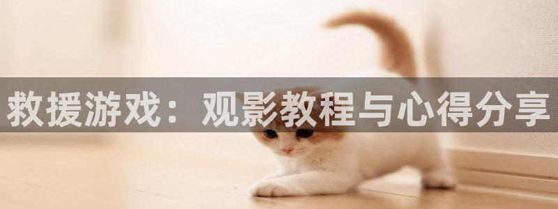 2019久久视频有精品：救援游戏：观影教程与心得分享