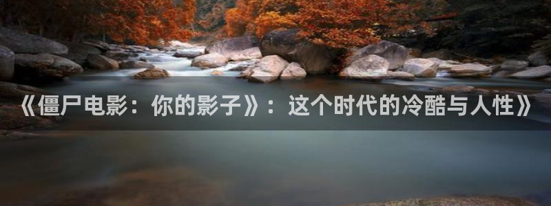 久久久影院乱