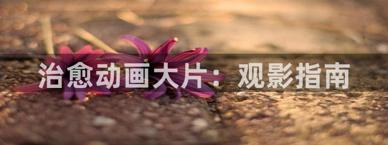 精品久久久久电影：治愈动画大片：观影指南
