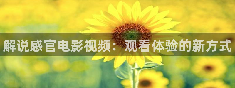 久久视频久久视频：解说感官电影视频：观看体验的新方式