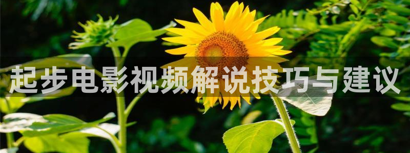 久久久久电影：起步电影视频解说技巧与建议