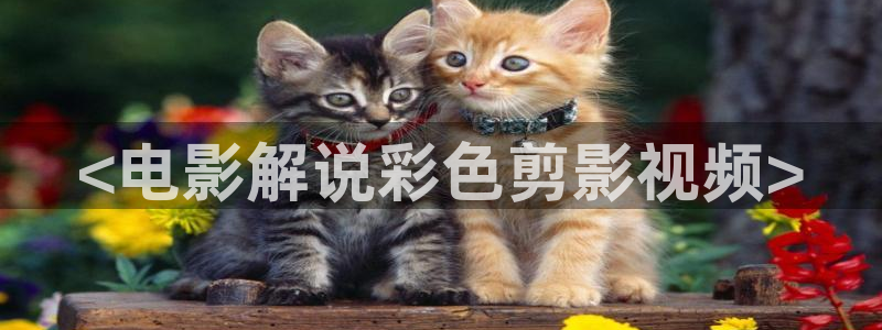 久久视频合集：<电影解说彩色剪影视频>