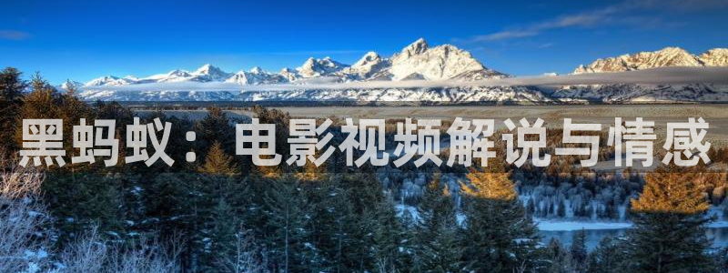 人久久视频：黑蚂蚁：电影视频解说与情感