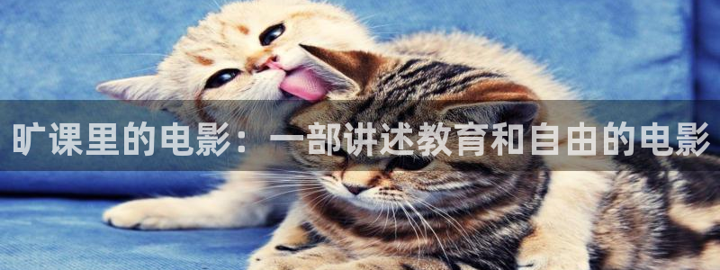 日韩精品久久久久免费电影：旷课里的电影：一部讲述教育和自由的电影