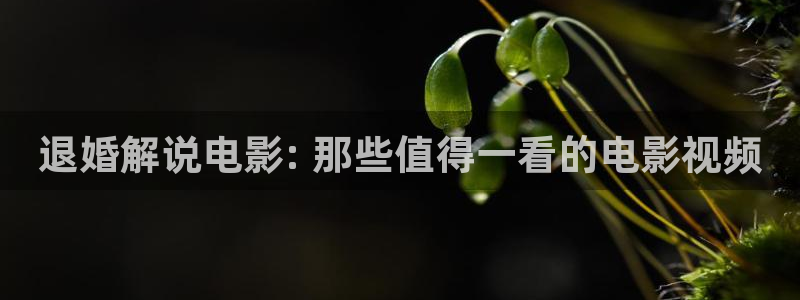 国产精品久久久久大片：退婚解说电影: 那些值得一看的电影视频