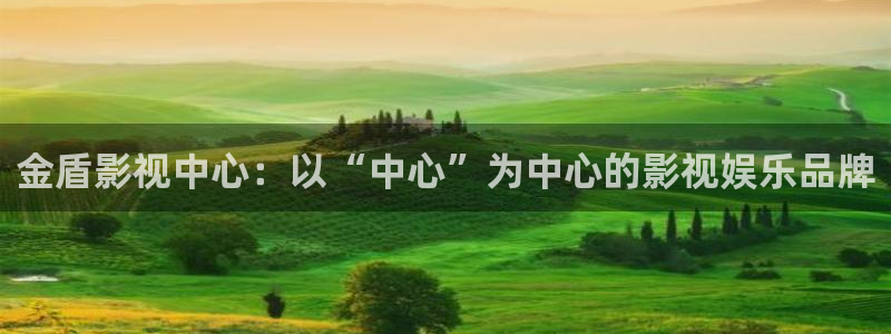免费精品久久久影院：金盾影视中心：以“中心”为中心的影视娱乐品牌