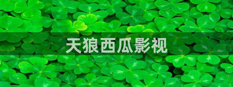 午夜久久视频：天狼西瓜影视