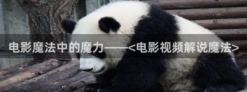 久久视频国内：电影魔法中的魔力——<电影视频解说魔法>