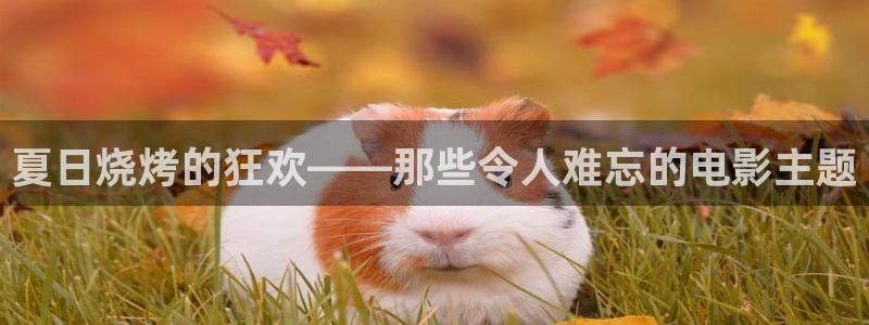 动漫久久视频：夏日烧烤的狂欢——那些令人难忘的电影主题