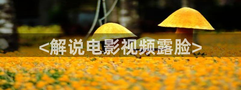 2019最新久久久视频精品：<解说电影视频露脸>