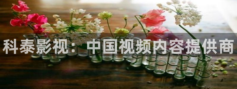 国内精品视频久久久久久久