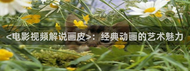 天天看片久久久
