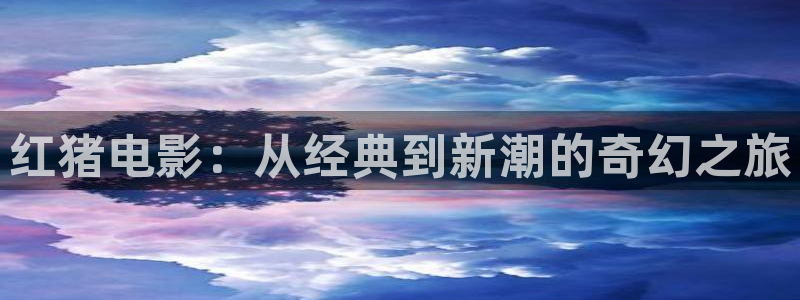 久久久0视频