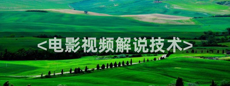 久久久久视频播放