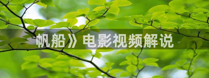 国产精品久久久久久久电影