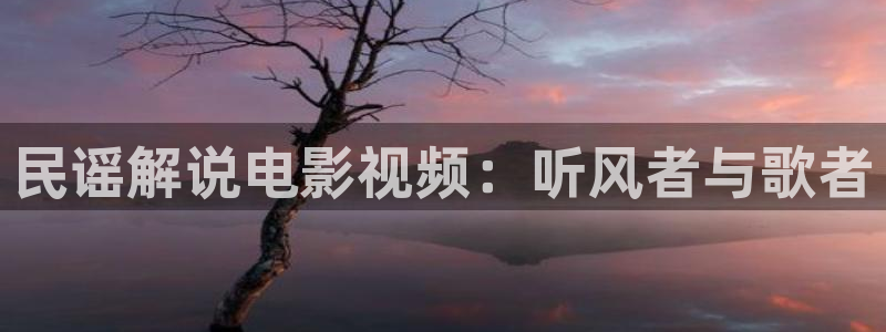 久久视频同性恋