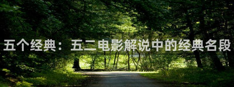久久久久视频在线观看