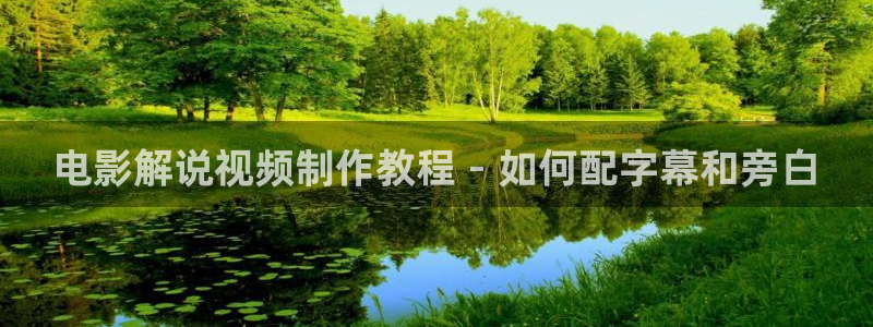久久久久国产精品电影
