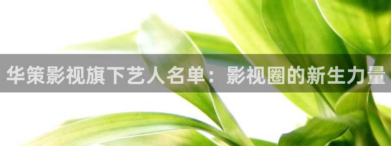 神马午夜电影院久久久久