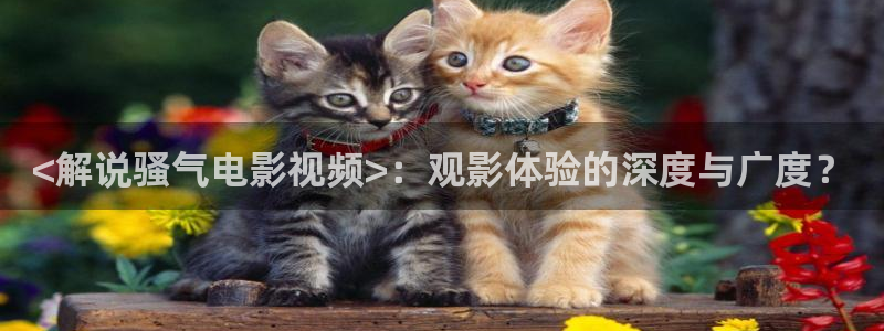 久久视频这里是精品