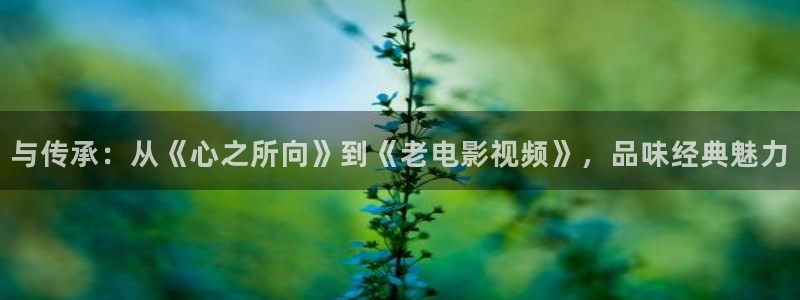 免费在线久久视频