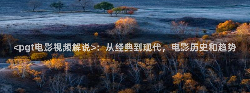 久久视频国产精品